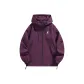 Aurora Purple