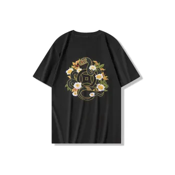 PIERRE CARDIN T Shirts Men