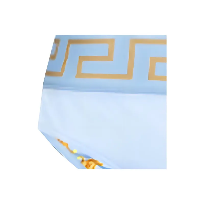 VERSACE Greca Border Swim Briefs-1