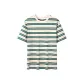 Green Coffee Brown Multicolor Stripes