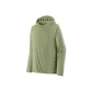 Sage Green/Salvia Green
