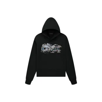 AMIRI Graphic Print Hoodie