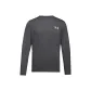 Rhinoceros Gray 025