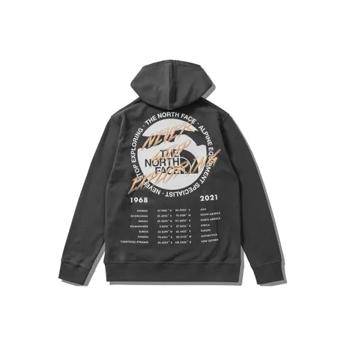 THE NORTH FACE X Invincible Half Dome Graphic Hoodie