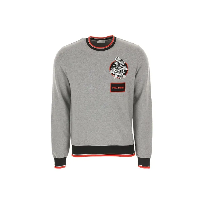 DIOR Quarterly New Products Sweatshirts Men Gray-0