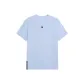 Light Gray Blue