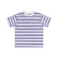 Taro Purple