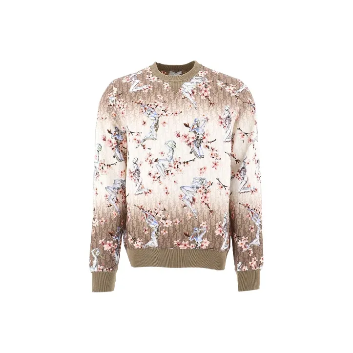 DIOR Quarterly New Products Sweatshirts Men Brown-0