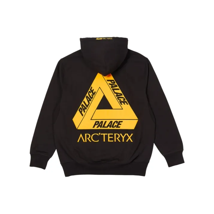 Arcteryx Arc'teryx Hood-10