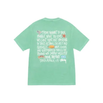 Stussy Heal The Bay Pigment Dyed Summit To Sea Tee