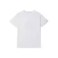 Mist White