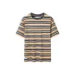 Tea Brown Cyan Multicolor Stripes