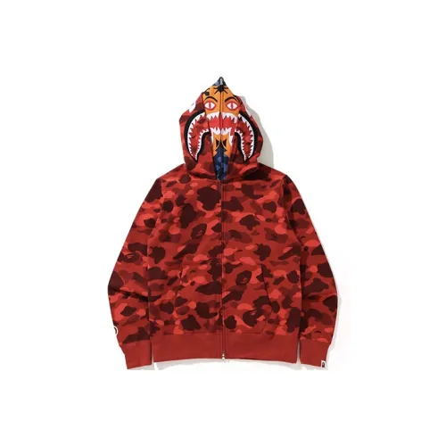 Black Polo Shirt In Piquet With Broke Flower Crest Embroidey To The Ches Kenzo Man