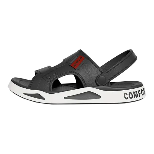 TZLDN Slippers / Home Slippers
