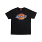 Asphalt Black