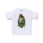 White X Green