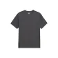 Charcoal Gray