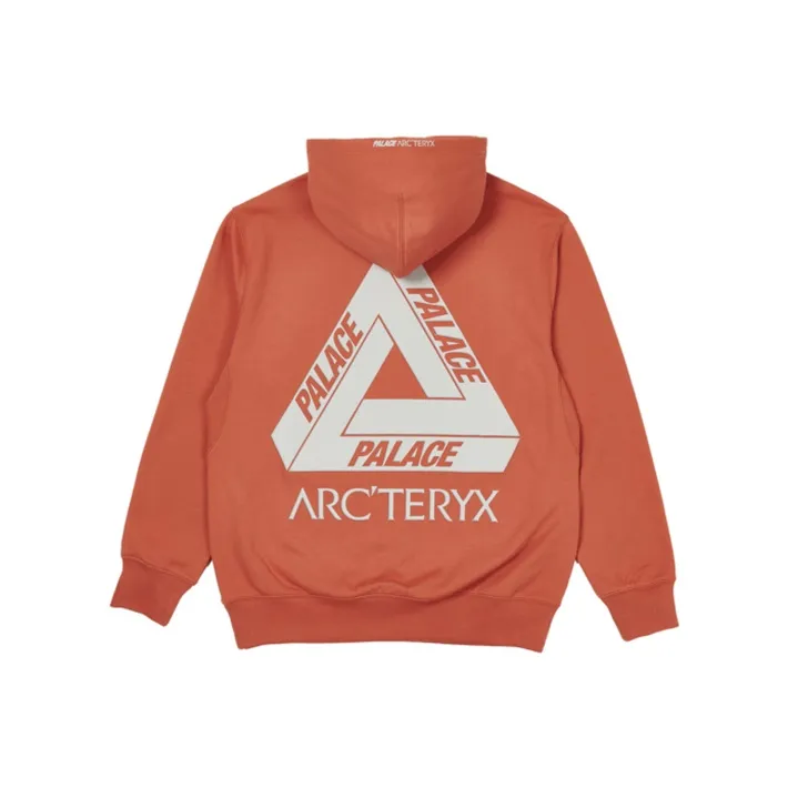 Arcteryx Arc'teryx Hood-4