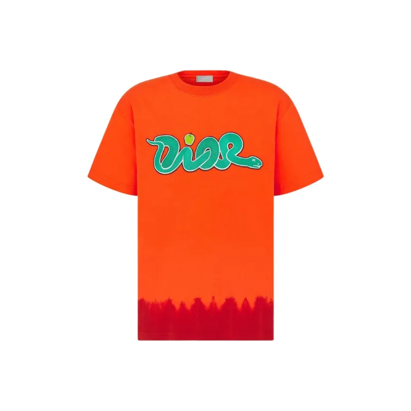 DIOR X Kaws Relaxed Fit T shirt-0