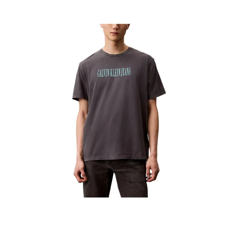 CALVIN KLEIN T Shirt Men's Ebony-0