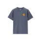 25 Gray Blue