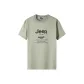 Gray Green