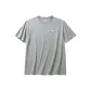 Pearlescent Gray