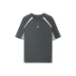 Smoky Gray-013P