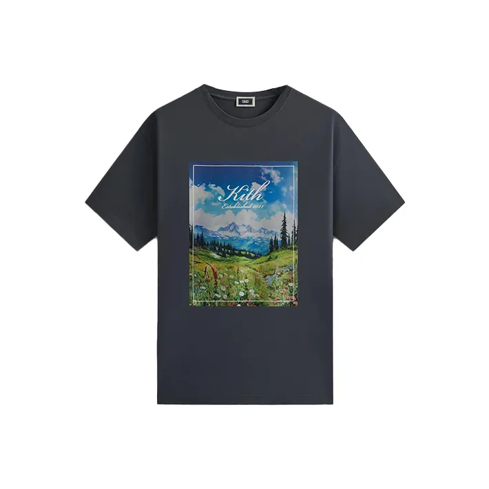 KITH Landscape Vintage Tee-0