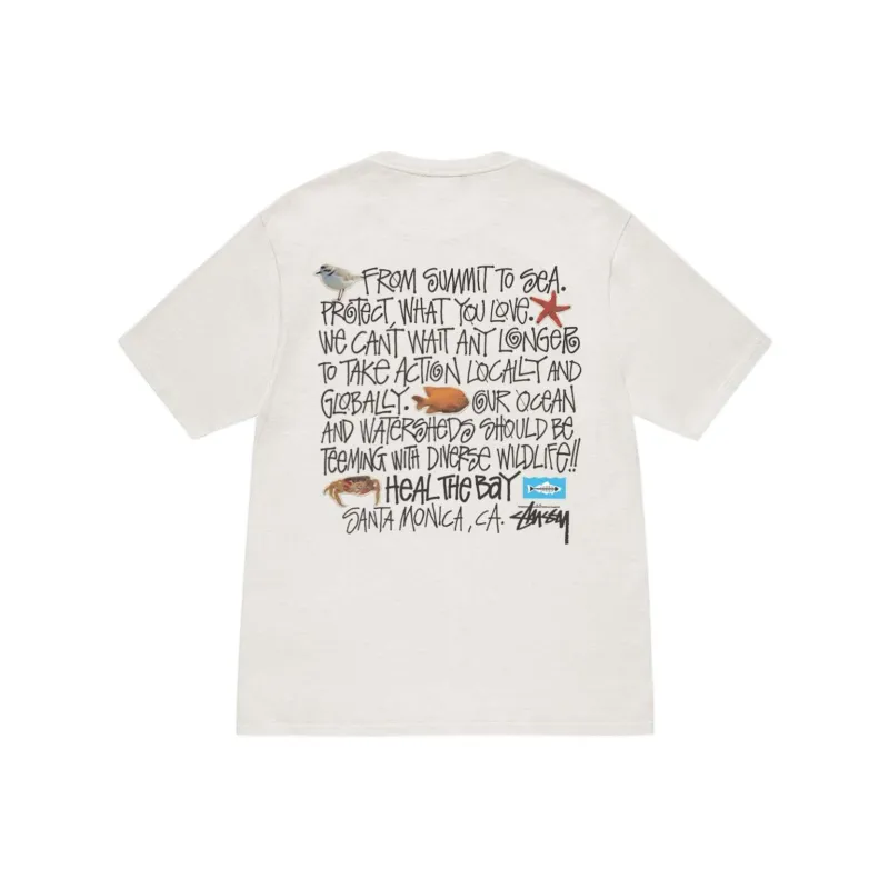Stussy Heal The Bay Pigment Dyed Summit To Sea Tee-2