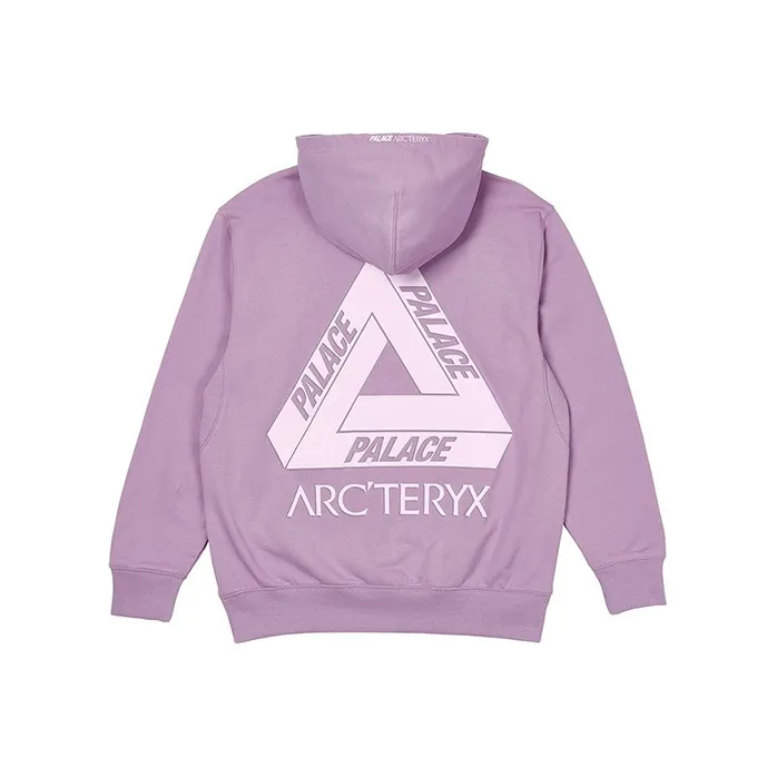Arcteryx Arc'teryx Hood-6