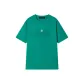 Aqua Green