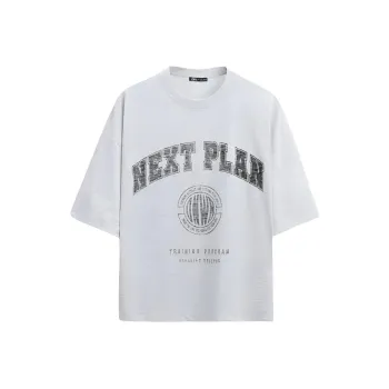 ZARA T Shirt Men's Zebra Print Gray