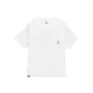 WTC-White