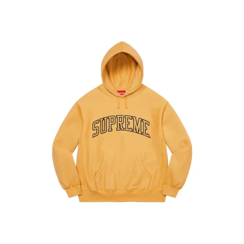 Balenciaga Paris Fashion Week Cropped Hoodie