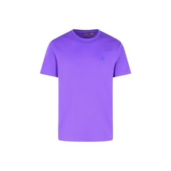 Polo Ralph Lauren Logo Embroidered Crewneck T Shirt