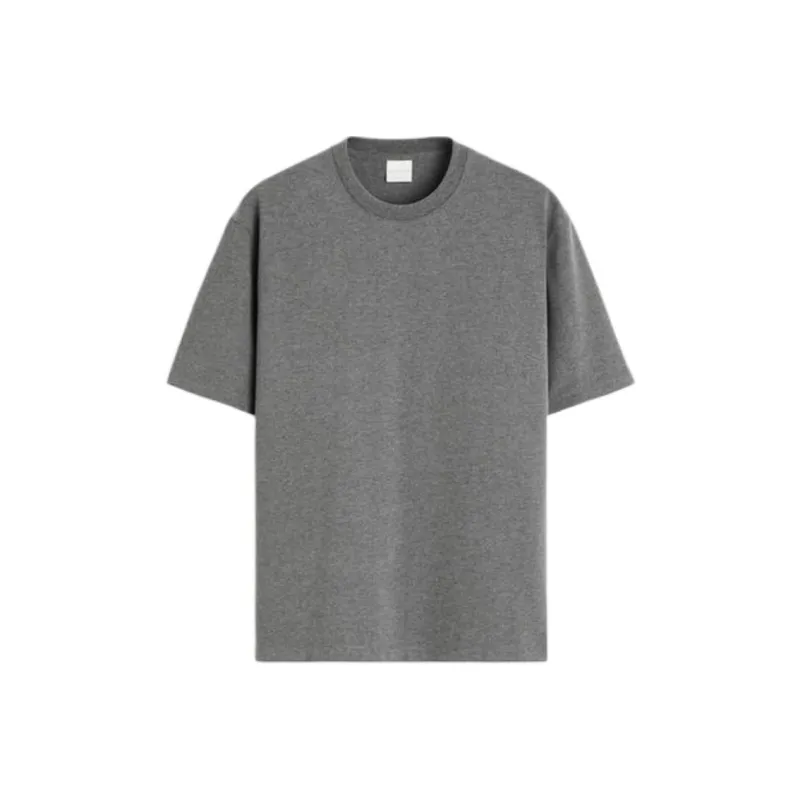 ZARA T Shirt Men's Zebra Print Gray-0