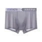 Silver Gray