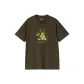 Turtle Green