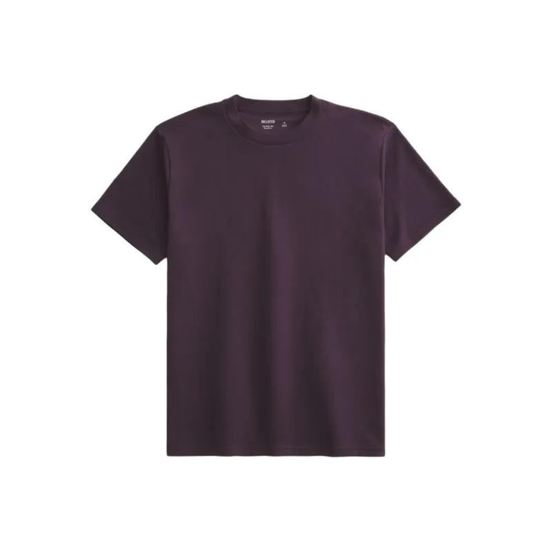 Hollister T-Shirts Men Purple-0