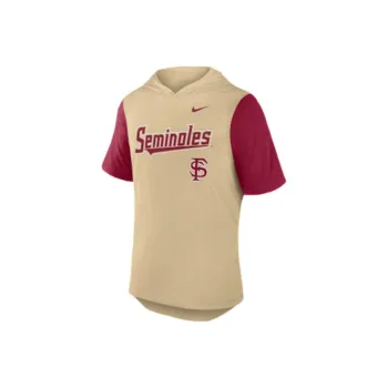 Nike Florida State Seminoles Baseball Script Men's Nike Dri FIT College Hooded T Shirt