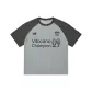 Light Gray & Dark Gray