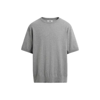 ZARA T Shirt Men's Zebra Print Gray