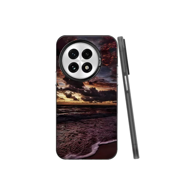 Baochengbao Phone Cases-0