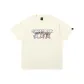 Cream Apricot