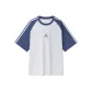Gray Blue Tone 00328