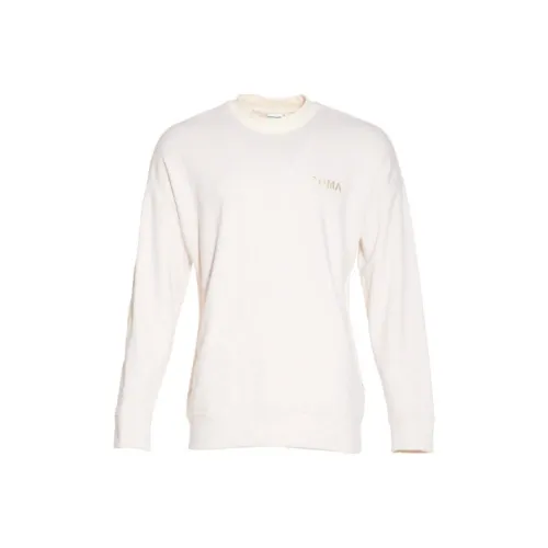 PUMA T Shirts Men Birch Wood