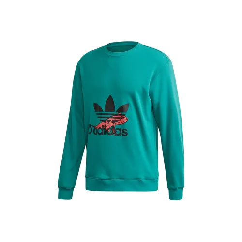 Adidas Originals PT3 Chameleon Hoody Sweatshirt Sweatshirt Men's Honor Green
