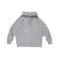 Silver Gray