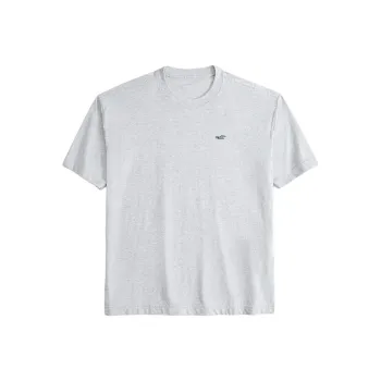 Hollister T Shirts Men Gray